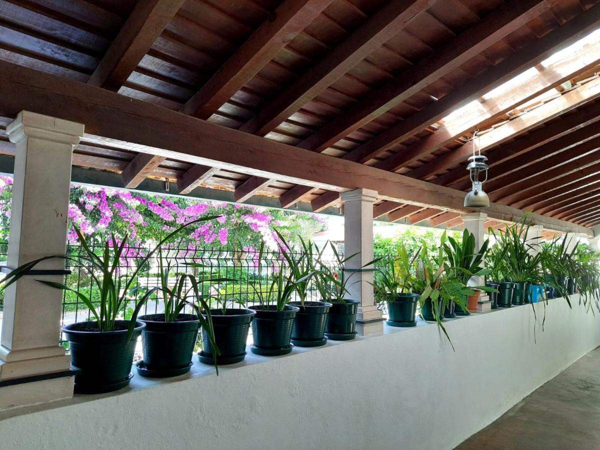 Villa Qm - Quinta Da Morgadinha - Casa Em Quinta Rural Cabecos Exterior foto