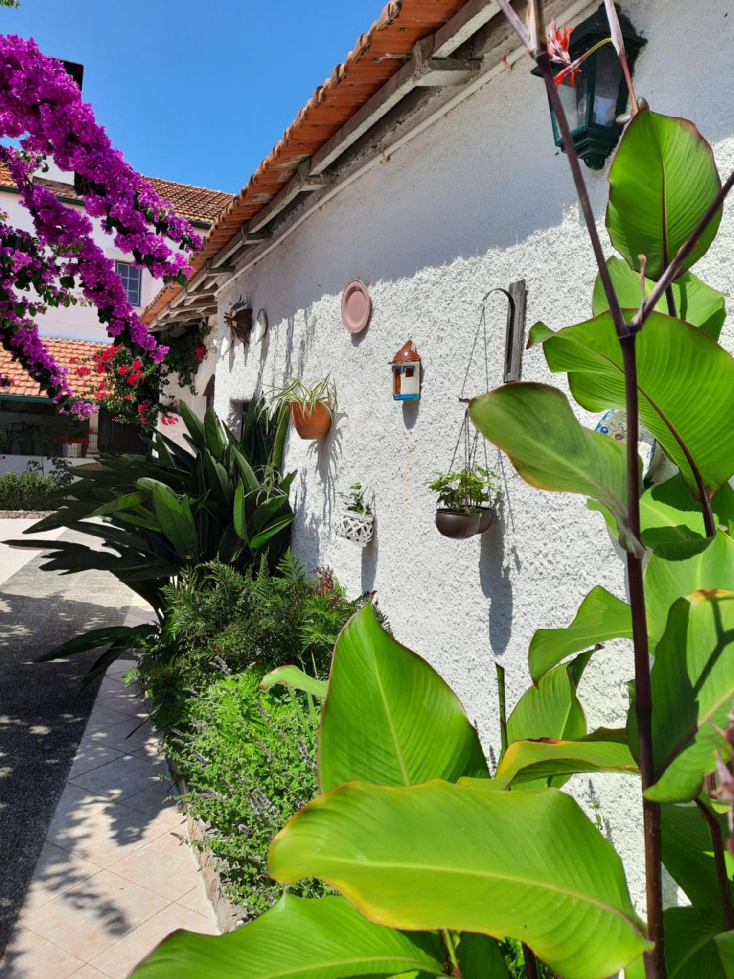 Villa Qm - Quinta Da Morgadinha - Casa Em Quinta Rural Cabecos Exterior foto