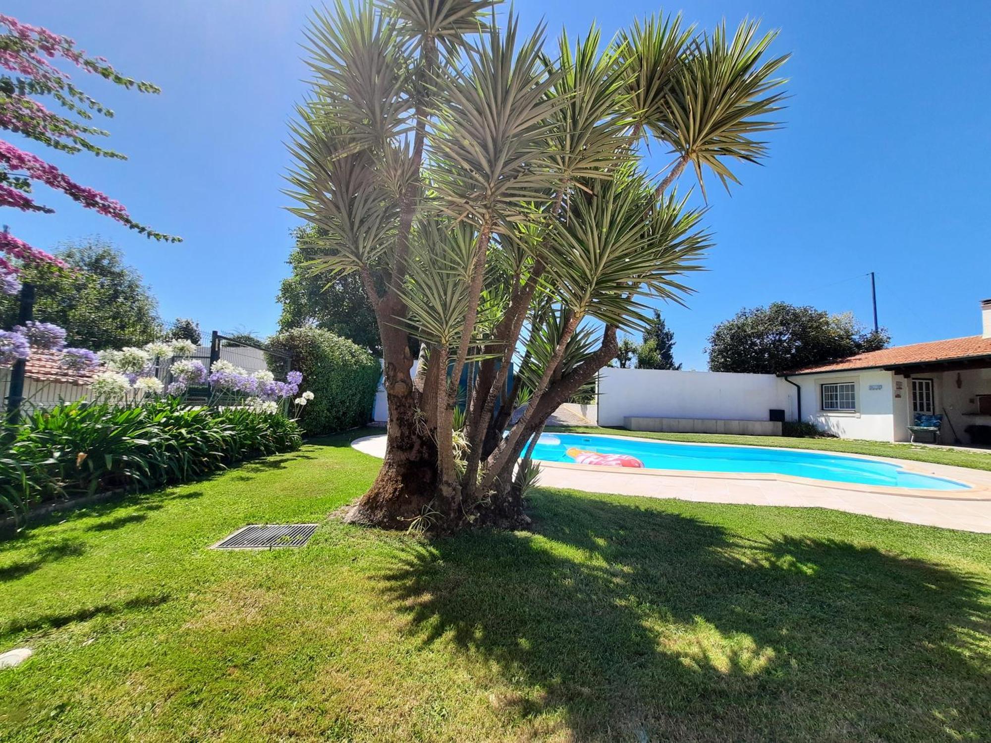 Villa Qm - Quinta Da Morgadinha - Casa Em Quinta Rural Cabecos Exterior foto